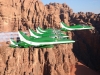 saudi-hawks-2