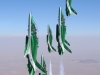 saudi-hawks-3