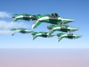 saudi-hawks-4